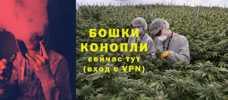 Марихуана Bruce Banner  omg зеркало  darknet какой сайт  Гдов 